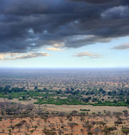 Savannah landscape in  Kenya, Africaの写真素材