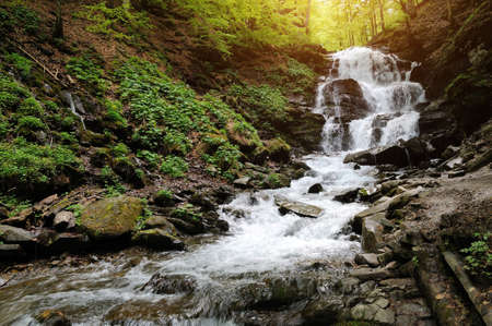 Waterfall in forest. In the deep forest on mountainの写真素材