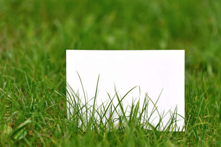 Blank paper shot outdoor over green grassの写真素材