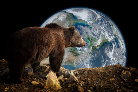 Brown bear on Earth background. Elements of this image furnished by NASAの写真素材