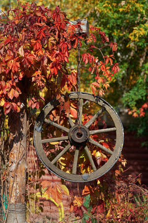 Autumn decor with wooden wagon wheelの写真素材