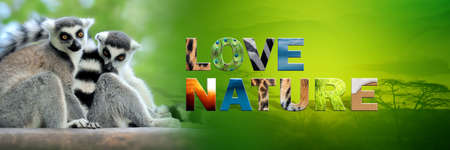 Banner with lemur and text Love Nature with texture