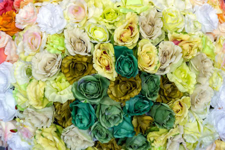 Colorful design pattern of flower texture and backgroundの写真素材