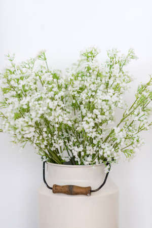 White flowers in a corner of white backgroundの写真素材