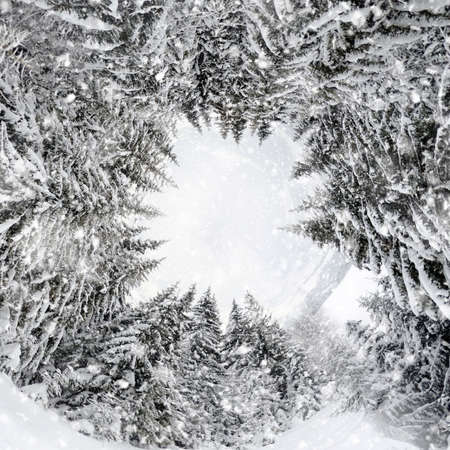 360 degree view of Beautiful winter landscape with snow covered trees