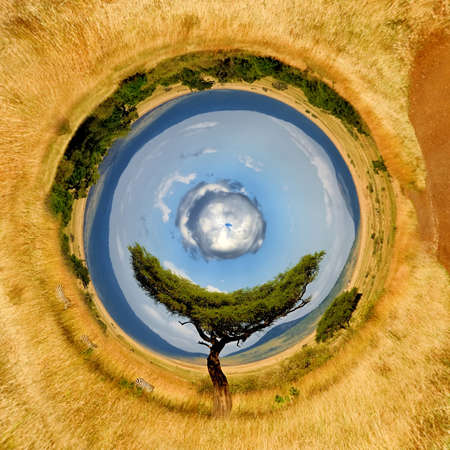 360 degree view of Beautiful landscape with tree in Africa