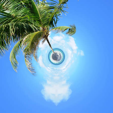360 degree view of Beautiful nobody palm trees on the beach with white sandの写真素材