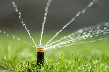 Automatic garden lawn sprinkler in action watering grassの写真素材