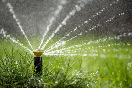 Automatic garden lawn sprinkler in action watering grassの写真素材