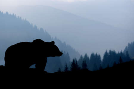 Wilderness landscape with bear silhouette on mountains backgroundの写真素材