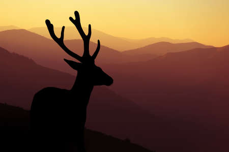 Wilderness landscape with deer silhouette on mountains backgroundの写真素材
