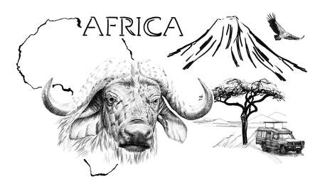 Buffalo portrait on Africa map background with Kilimanjaro mountain, vulture and car. Collection of hand drawn illustrations (originals, no tracing)の写真素材