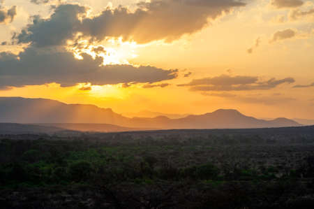 Sunset landscape in Amboseli National Park, Kenya. Golden evening lightの写真素材