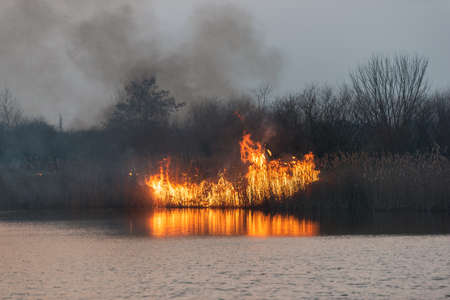 Field fire near the lake. Strong smoke from a burning place. Dry grass burns, natural disaster