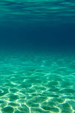 Summer time under the sea ocean water with a ray of sunlight from the surface for a background concept designの写真素材