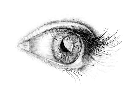 Hand drawn people eye, sketch graphics monochrome illustration on white background (originals, no tracing)の写真素材