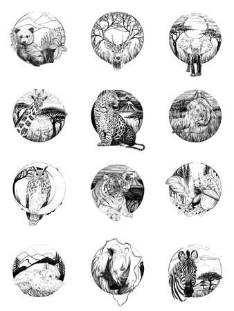 Set of 12 Hand drawn animals, sketch graphics monochrome illustration on white background (originals, no tracing)の写真素材