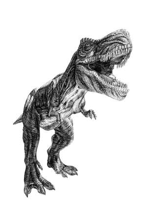 Hand drawn dinosaur, sketch graphics monochrome illustration on white background (originals, no tracing)の写真素材