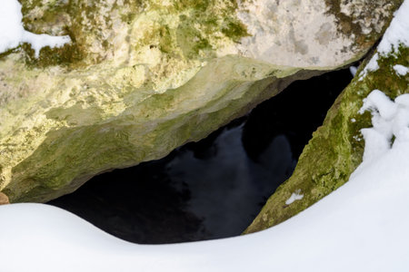 Den bear (Ursus arctos) in the woods under a large rock in winterの写真素材