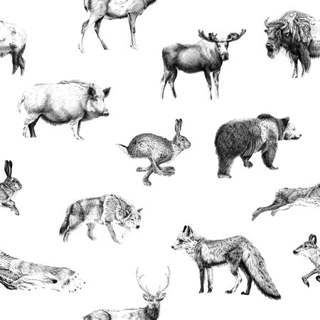 Seamless pattern of hand drawn sketch animal. Illustration isolated on white backgroundの写真素材