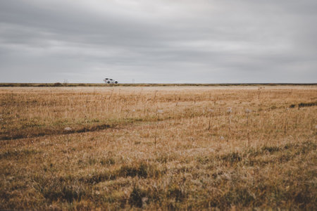 Landscape of Iceland in crop area with road in the background passing a 4x4 motorhome