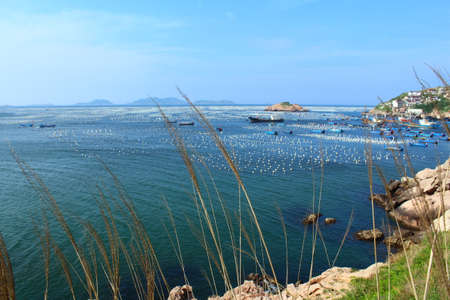 Zhoushan wolfberry Island sceneryの写真素材