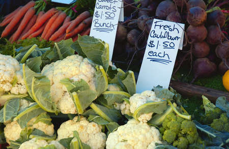 vegetablesの写真素材