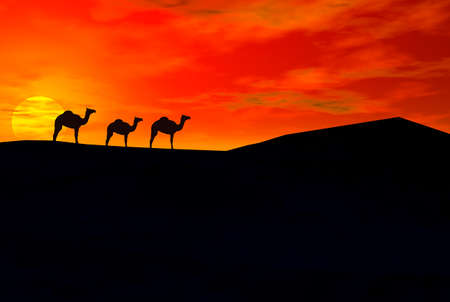 3D render of camelの写真素材