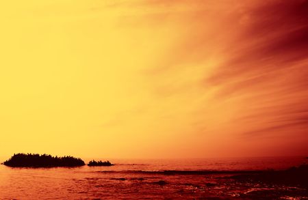  pelican on rocksの写真素材