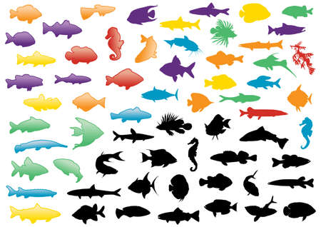 Illustration set of fish silhouettes. All objects are isolated and grouped. Colors and transparent background color are easy to adjust.のイラスト素材
