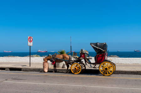 Vina del Mar, Chile - December 3, 2012: A tourist transport through the city. Vina de Mar, Chile.のeditorial素材