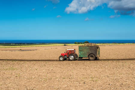 Cascavelle, Mauritius - December 10, 2015: Mauritius sugarcane harvest on the field with harvesters and truck with full load of harvested sugarcane in the countryside near Cascavelle, Mauritius. Agricultural landscape of Mauritius.のeditorial素材