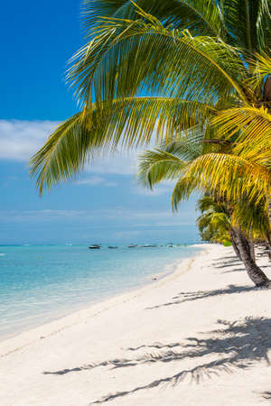 White sand on a tropical beach Le Morne, Mauritius.の写真素材