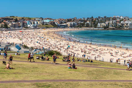 Sydney, Australia - November 8, 2014: Bondi Beach is crowded with a large number of beachgoers on a hot Saturday afternoon, Sydney, Australia.のeditorial素材