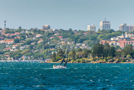 Sydney, Australia - November 9, 2014: Yacht boat sailing in the Sydney Harbour with Shark Island in the foreground, Rose Bay and houses in the background at Sydney, Australia.のeditorial素材