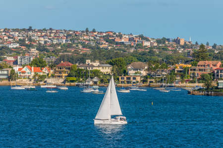 Sydney, Australia - November 12, 2014: Sailing boats and residential housing in Rose Bay, Sydney, New South Wales, Australia. Rose Bay is a harbourside eastern suburb of Sydney 7 kilometres east of the Sydney central business district.のeditorial素材