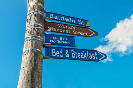 The world's steepest street, Baldwin Street in the city of Dunedin in New Zealand