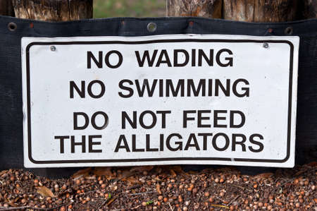 White warning sign with black letters. No Wading. No Swimming. Do not feed the Alligators. Seen in Florida.の写真素材