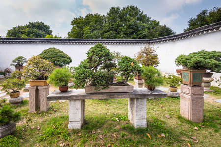 Suzhou, China - October 23, 2013: Bonsai trees in the Humble Administrator's Garden, a Chinese garden in Suzhou, a UNESCO World Heritage Site.のeditorial素材