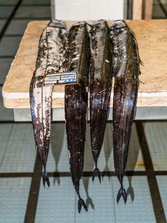 Funchal, Madeira, Portugal - December 10, 2016: Black scabbard fish (espada in portuguese) in fish market of Funchal, Madeira, Portugal. Fish from Atlantic ocean.のeditorial素材