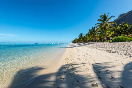 Le Morne, Mauritius - December 11, 2015: Amazing white beaches of Mauritius island. Tropical vacation in Le Morne Beach, Mauritius. The shadow of the palm trees in the foreground.のeditorial素材