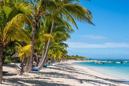 Le Morne, Mauritius - December 11, 2015: People are relaxing on the tropical Le Morne beach with coconut palms, one of the finest beaches in Mauritius.のeditorial素材