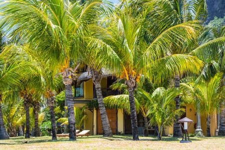 Le Morne, Mauritius - December 11, 2015: Tropical bungalow on the Le Morne beach with coconut palms, one of the finest beaches in Mauritius.のeditorial素材