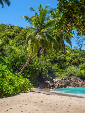 Anse Major, Mahe, Seychelles - December 16, 2015: People enjoy the Anse Major beach, part of the Baie Tarney Marine National Park and is overall part of the Morne Seychellois National Park.のeditorial素材