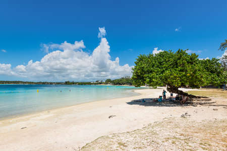 Blue Bay, Mauritius - December 28, 2015: People relaxing in the shade of a tree on the Blue Bay beach, Mauritius, Indian Ocean.のeditorial素材