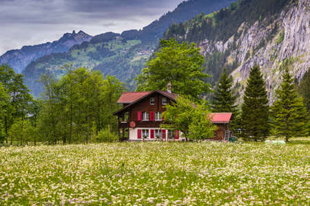 Lauterbrunnen, Switzerland - May 26, 2016:  The traditional chalet on green field & meadow flowers in overcast spring day in Lauterbrunnen Valley and Swiss Alps, Switzerland.のeditorial素材