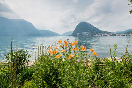 View at the bay of Lugano from the botanical garden of the city, Switzerland. Poppies in the foreground.の写真素材