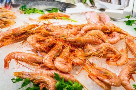 Raw fresh shrimp on ice at the fish market in Savona, Liguria, Italyの写真素材