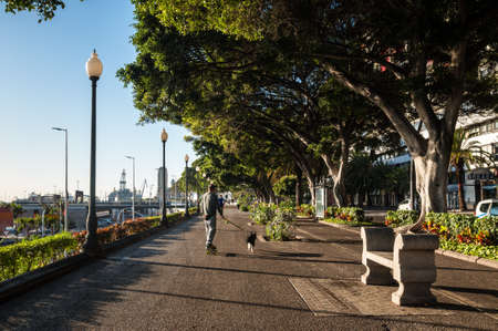 Santa Cruz de Tenerife, Canary Islands, Spain - Desember 11, 2016: People walking with a dog and run along the promenade in Santa Cruz de Tenerife, Canary Islands, Spain.のeditorial素材