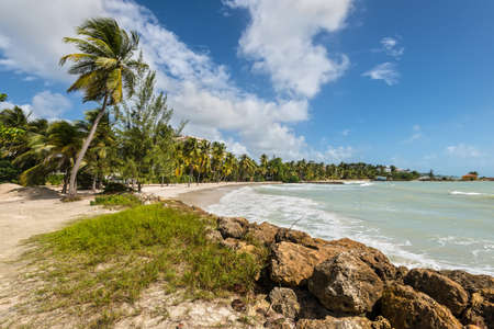 Le Gosier, Guadeloupe - December 20, 2016: Paradise beach and palm trees near Le Gosier in Guadeloupe, an overseas region of France, Lesser Antilles, Caribbean.のeditorial素材